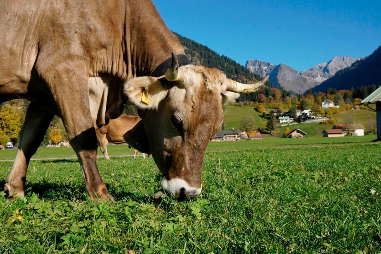 Wiesenblick Oberstdorf Buitenkant foto